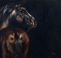 Irfan Ahmed, 36 x 36 Inch, Oil on Canvas, Horse Painting, AC-IRA-026
